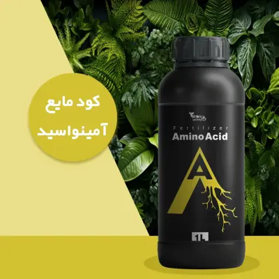 کود مایع آمینو اسید